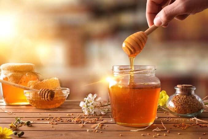 [蜂蜜資訊] 古代印度草藥療法中蜂蜜的歷史