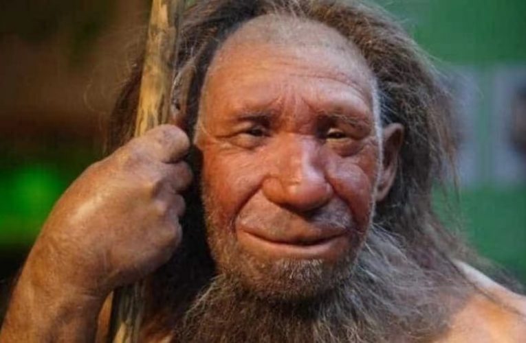 [亞洲新聞資訊] 科學家發現了5萬年前在亞洲漫遊的“霍比特人”物種的真正起源！