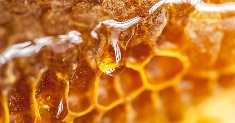 [蜂蜜資訊] 蜂蜜的藥用價值參考