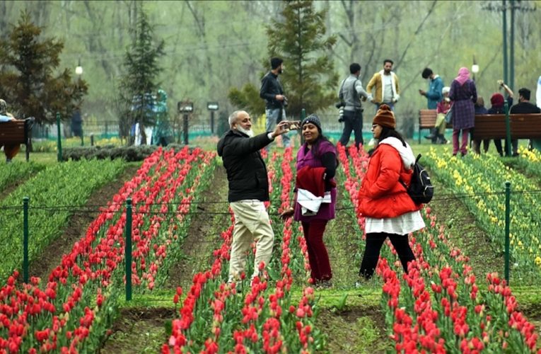 [亞洲新聞資訊] 亞洲最大規模的鬱金香花園在克什米爾重新開幕